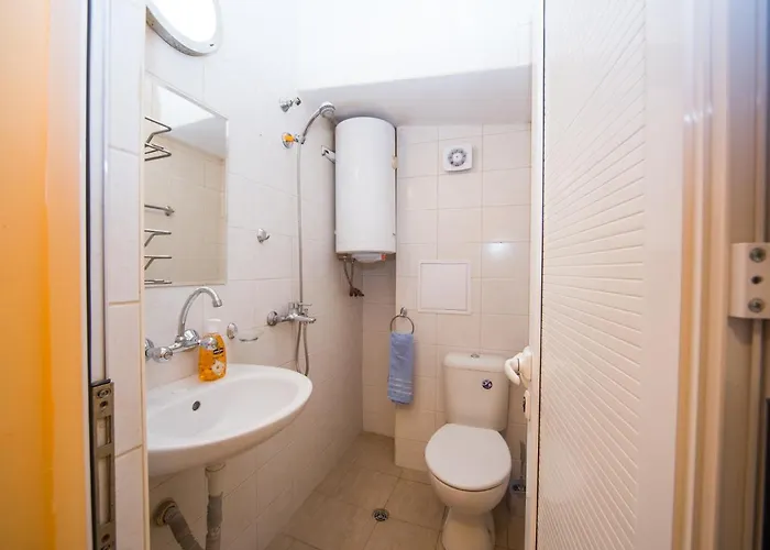 Aleks Center Apartmán *